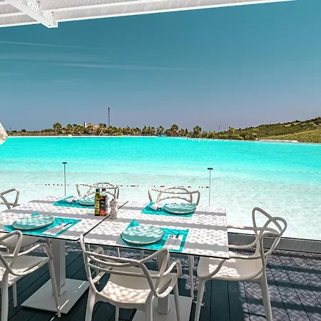 Splendide 2 Ch Avec Terrasse Vue Mer Et Piscine Daire